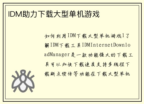 IDM助力下载大型单机游戏
